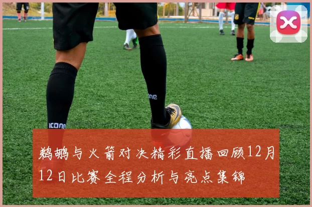 鹈鹕与火箭对决精彩直播回顾12月12日比赛全程分析与亮点集锦