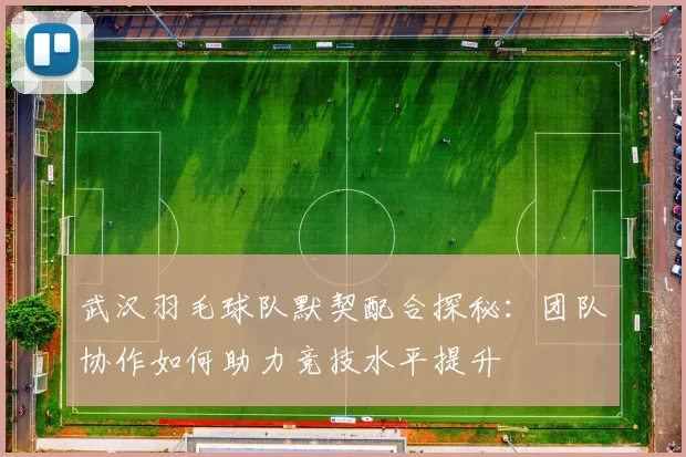 武汉羽毛球队默契配合探秘：团队协作如何助力竞技水平提升