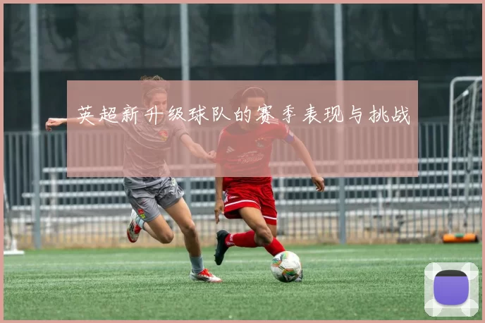 英超新升级球队的赛季表现与挑战
