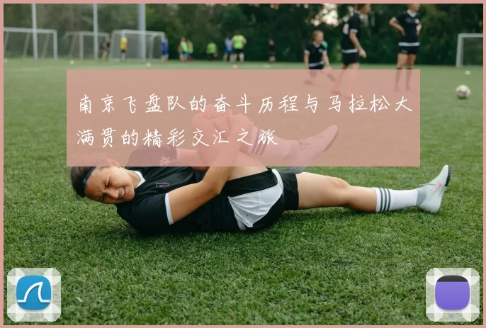 南京飞盘队的奋斗历程与马拉松大满贯的精彩交汇之旅