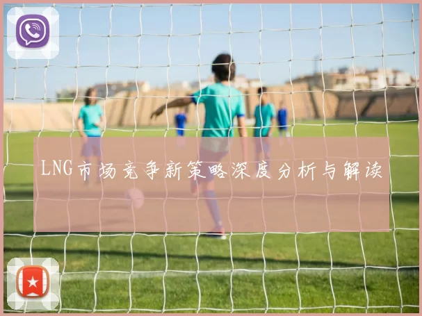 LNG市场竞争新策略深度分析与解读