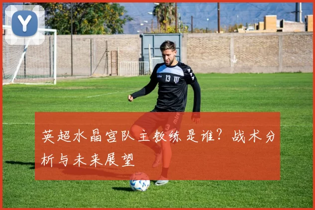 英超水晶宫队主教练是谁？战术分析与未来展望