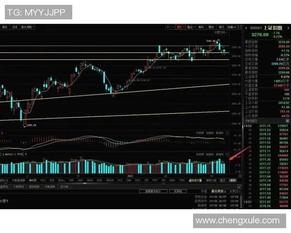 南京羽毛球队与杭州羽毛球队赛后复盘分析比赛节奏与战术对比